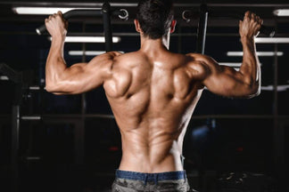 Top 7 Shredding Back Workout Exercises